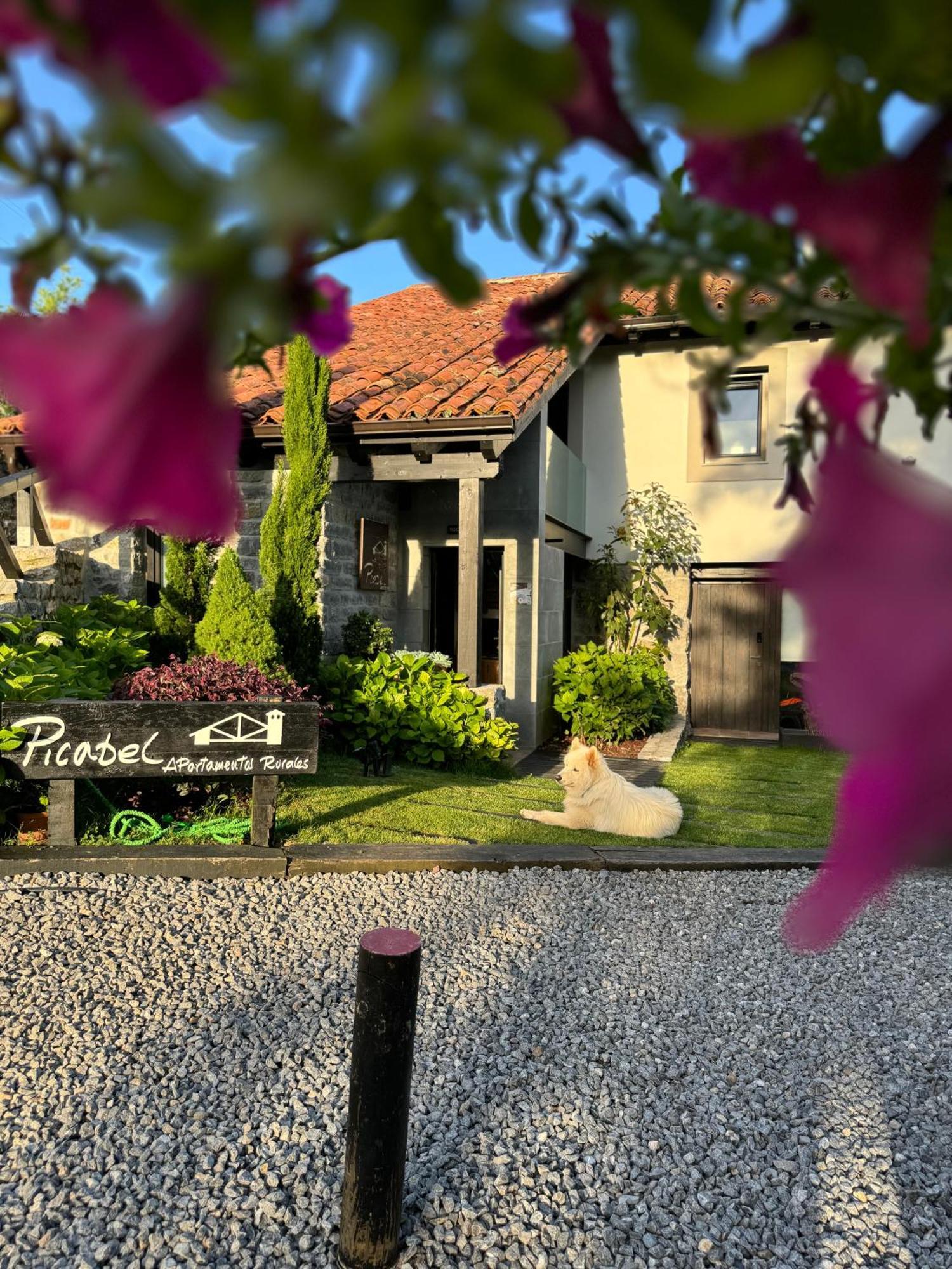 Apartamentos Picabel Onís 외부 사진